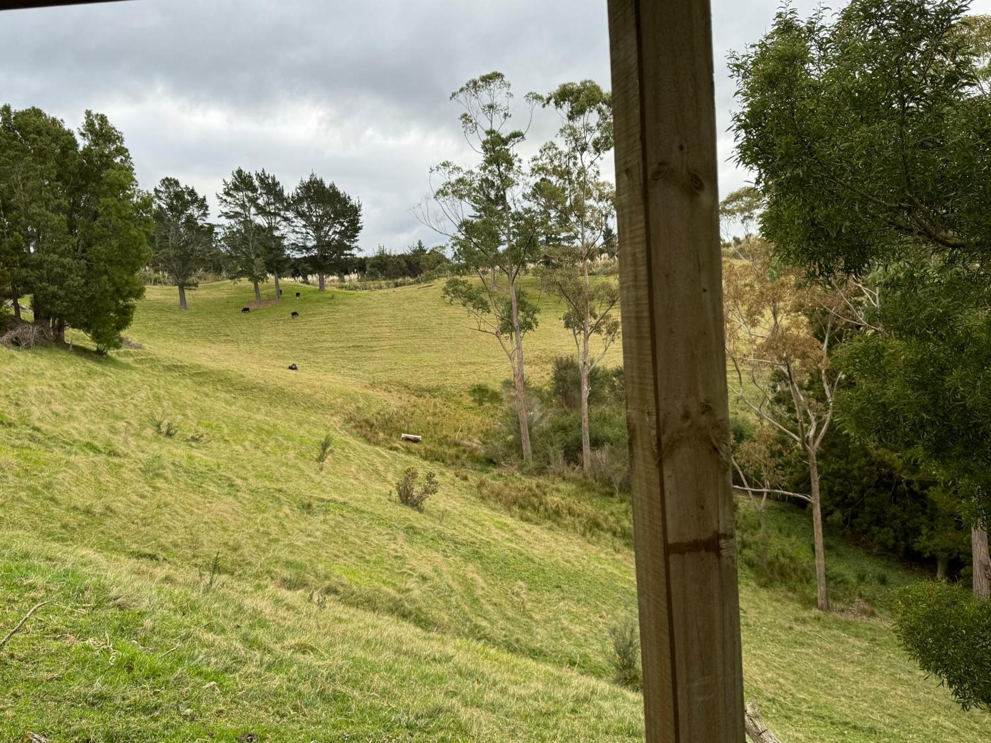 Private Cabin Close To The City Centre Whangarei Exterior photo